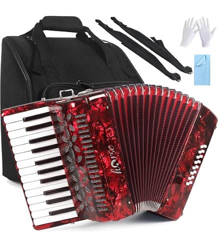 Amazon.com: Roland FR-1X Premium V-Accordion Lite with 26 Piano